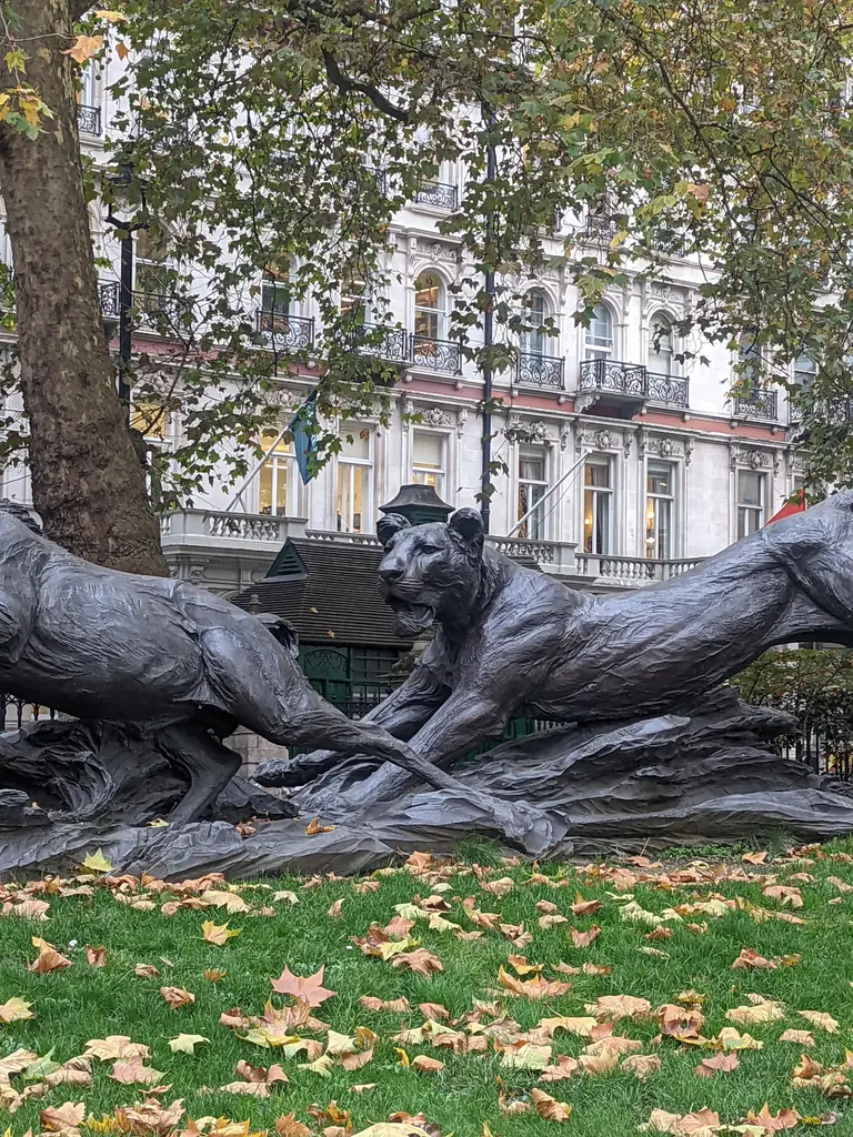 The Lioness and the Lesser Kudu